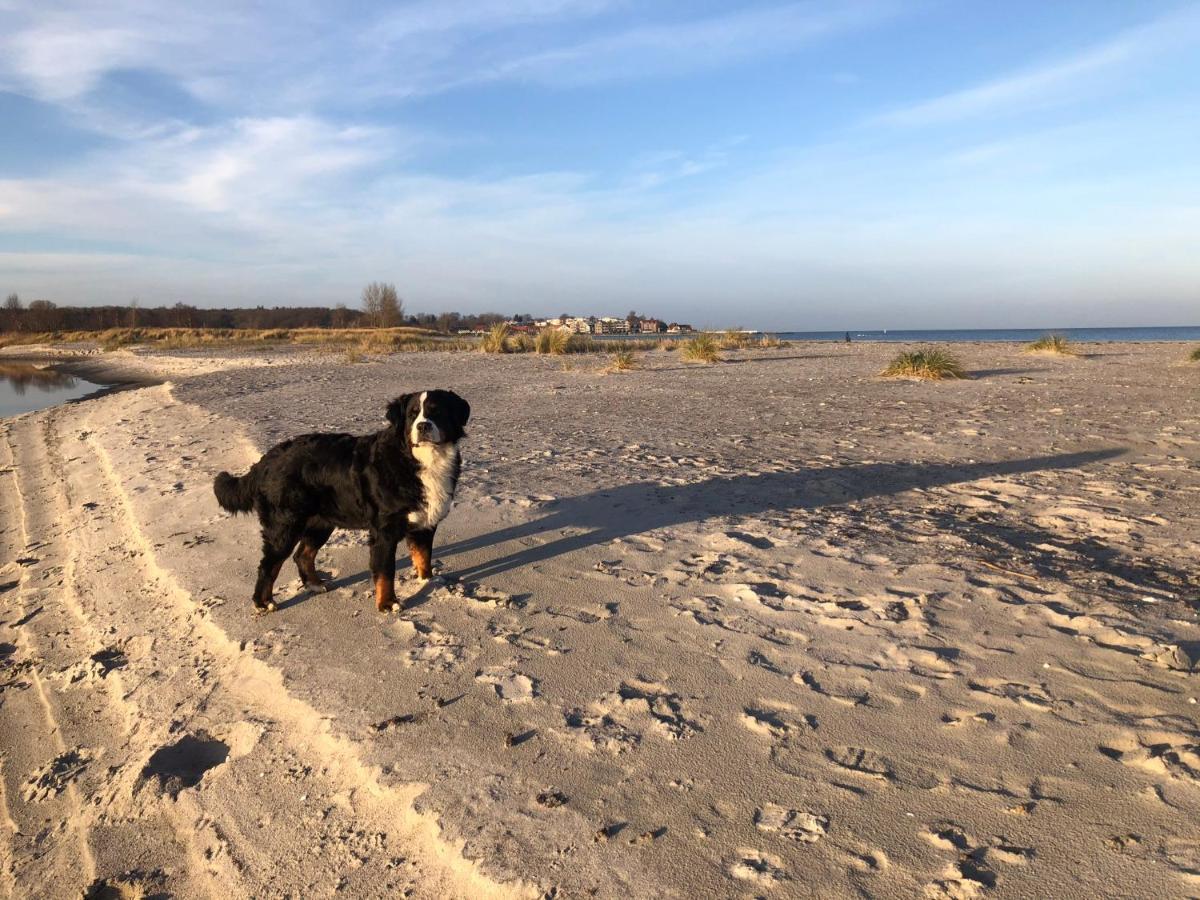 Ferienwohnung „Die Koje“ Hohwacht/Ostsee Bagian luar foto